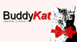Buddykat