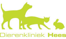 Dierenarts Eelco van de Pol is de dierenarts bij Dierenkliniek Hees in Nijmegen