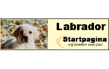 Labrodor startpagina