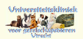 Universiteitskliniek voor Gezelschapsdieren Utrecht