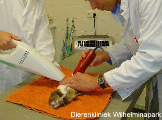 Het scheren van de ballen