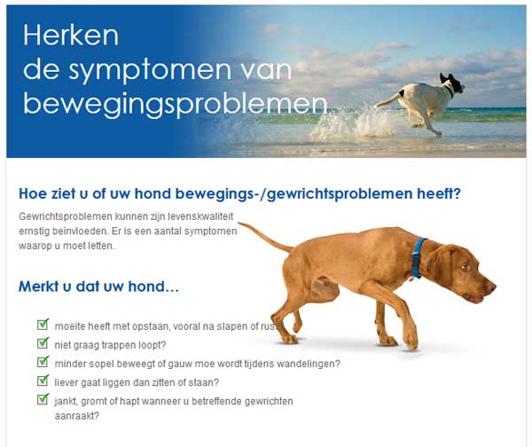 Wat zijn de verschijnselen van artroise bij de hond, Dierenkliniek Wilhelminapark Utrecht