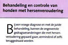 b/d voer van Hill's. Dierenkliniek Wilhelminapark in Utrecht