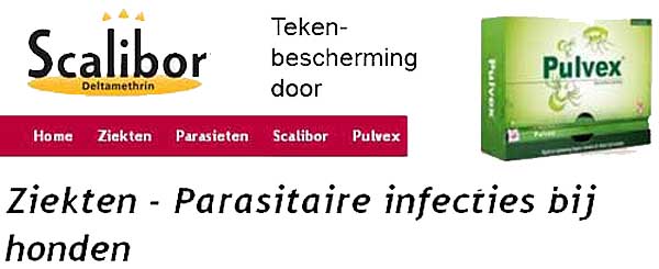 Als dierenartsen adviseren we om als tekenmiddel een van de volgende middelen te gebruiken: een band (Scalibor), een pipet (Pulvex) of een spray (Defendog) 