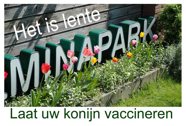 myxomatose vaccinatie bij voorkeur in april, mei of juni