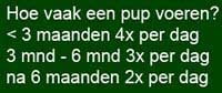 Hoe vaak moet je een pup voeren