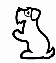 intro plaatje hond. Dierenkliniek Wilhelminapark in Utrecht