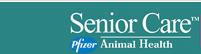 Seniorcare bij dierenkliniek Wilhelminapark in Utrecht. Een senoren programma voor de oudere hond.