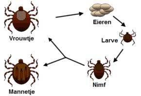 Teken bij de