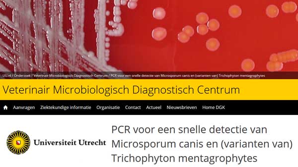 Het VMDC in Utrecht kan een ouderwetse schimmelkweek beoordelen en ook de nieuwe PCR test