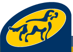 Kunt u een pup opvoeden voor Stichting Hulphond?