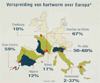 Waar komt hartworm voor